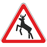 1.27 Дикие животные